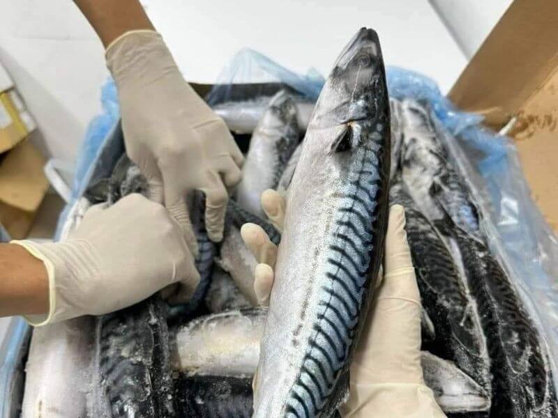 Không chỉ cá hồi, 9 hải sản này giàu Omega-3 không kém, có loại bình dân chợ bán rẻ bèo- Ảnh 2.