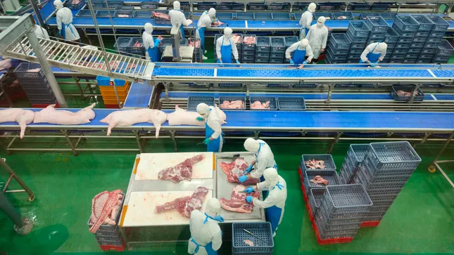 Hà Nội: Liên ngành đột xuất kiểm tra Công ty C.P trong đêm- Ảnh 2.