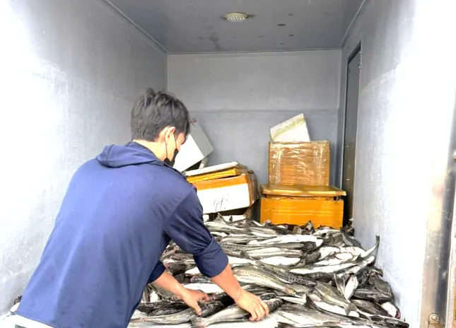 Mưa lũ tại miền Trung diễn biến phức tạp: Cá nuôi chết hàng loạt, người dân mất tiền tỷ- Ảnh 2.