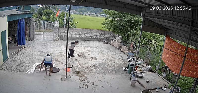 Đang ngồi trong nhà, nữ sinh bất ngờ chạy vụt ra sân khiến dân tình thót tim: Con nhà nông chắc hiểu dữ lắm!- Ảnh 3.