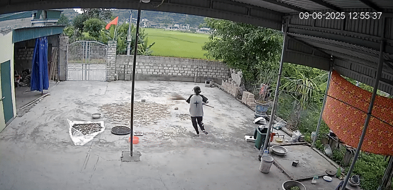 Đang ngồi trong nhà, nữ sinh bất ngờ chạy vụt ra sân khiến dân tình thót tim: Con nhà nông chắc hiểu dữ lắm!- Ảnh 2.