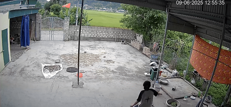 Đang ngồi trong nhà, nữ sinh bất ngờ chạy vụt ra sân khiến dân tình thót tim: Con nhà nông chắc hiểu dữ lắm!- Ảnh 1.