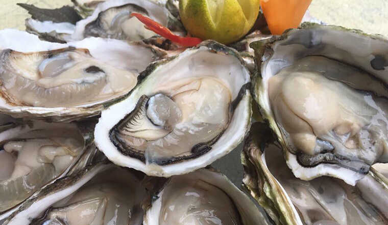 Không chỉ cá hồi, 9 hải sản này giàu Omega-3 không kém, có loại bình dân chợ bán rẻ bèo- Ảnh 4.