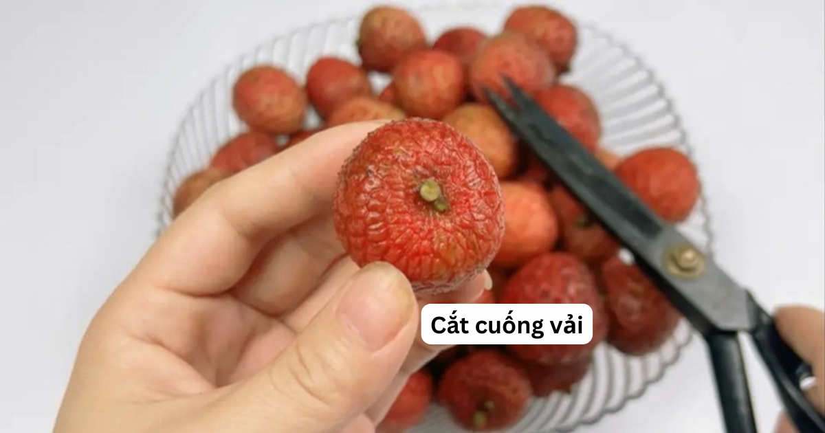 Vải mua về đừng vội cất tủ lạnh: Làm cách này tươi lâu hơn, để cả tháng vẫn ngọt mọng- Ảnh 2.