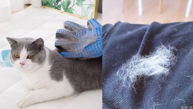 Tuyệt đối không cho vào máy giặt: "Danh sách đen" những món đồ sẽ phá hỏng cả máy giặt lẫn quần áo- Ảnh 5. Tuyệt đối không cho vào máy giặt: "Danh sách đen" những món đồ sẽ phá hỏng cả máy giặt lẫn quần áo- Ảnh 5.
