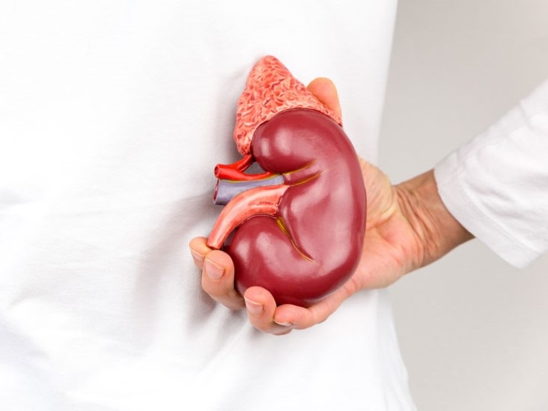 Suy thận ngày càng xuất hiện nhiều ở người trẻ: BS chỉ rõ thủ phạm hàng đầu gây bệnh- Ảnh 1.
