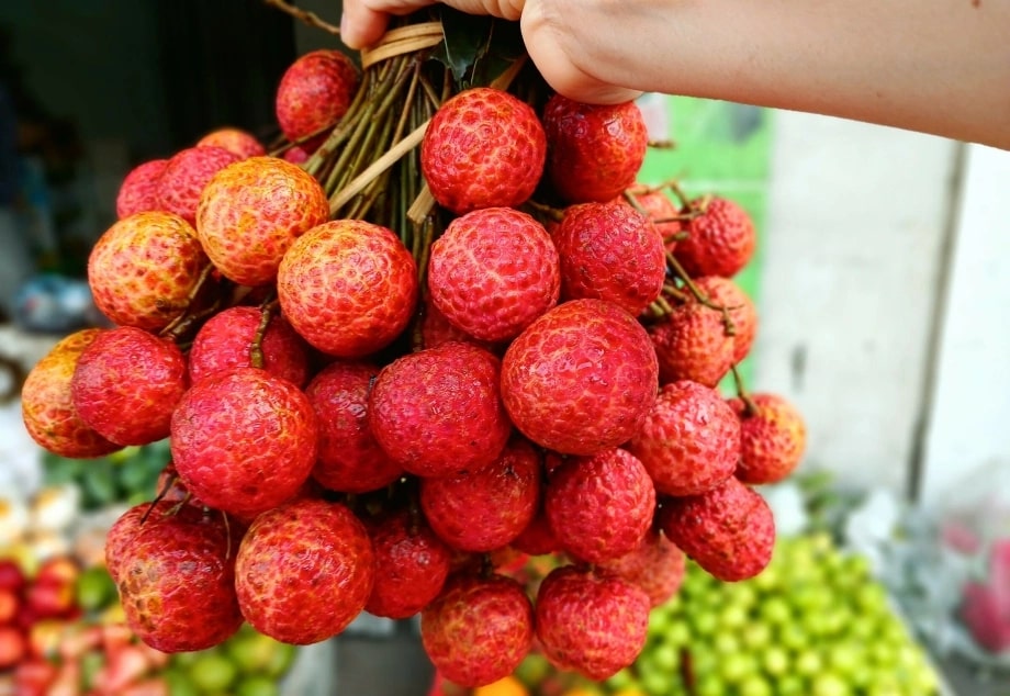 Vải mua về đừng vội cất tủ lạnh: Làm cách này tươi lâu hơn, để cả tháng vẫn ngọt mọng- Ảnh 1.