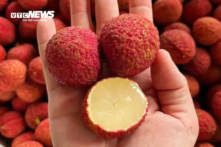 Vải không hạt Trung Quốc đổ bộ chợ Việt, giá gần 1 triệu đồng/kg- Ảnh 3.