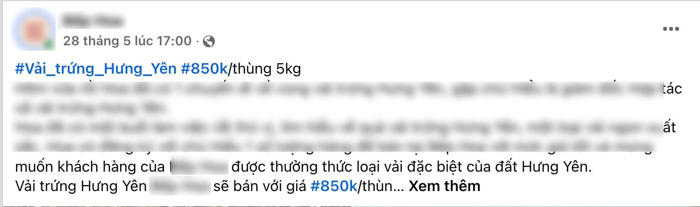 Loạn giá vải trứng Hưng Yên: Nơi 240.000 đồng/kg, nơi chỉ 45.000 đồng/kg, chuyện gì đây?- Ảnh 2.