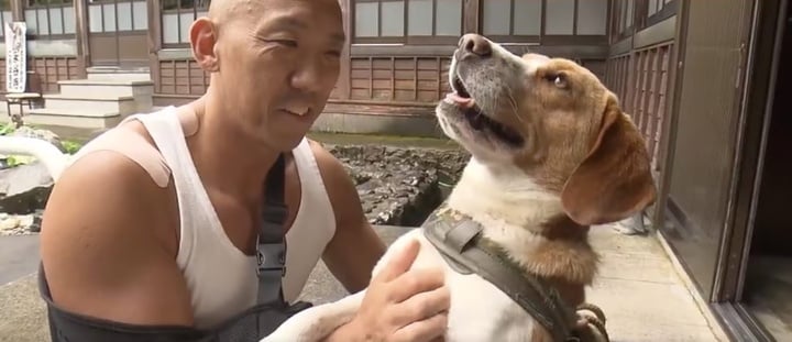Nhà sư nhận nuôi chú chó bị bỏ rơi, sau đó được chó cứu mạng khi gặp gấu dữ- Ảnh 2.