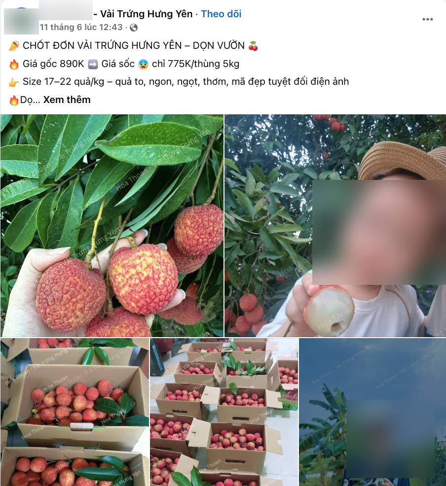 Loạn giá vải trứng Hưng Yên: Nơi 240.000 đồng/kg, nơi chỉ 45.000 đồng/kg, chuyện gì đây?- Ảnh 3.