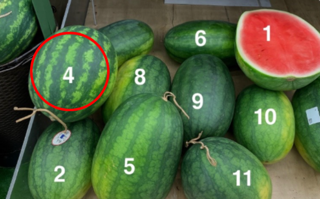 Trong 10 quả dưa hấu, đâu là quả ngọt, mọng nước nhất? Chat GPT đưa ra câu trả lời bất ngờ- Ảnh 2.