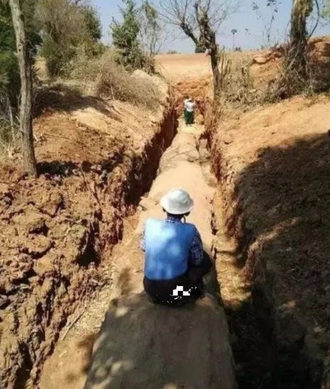Đang làm ruộng, lão nông bất ngờ phát hiện khúc gỗ trị giá 600 tỷ đồng- Ảnh 1.