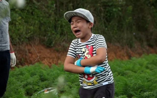 "Tê Giác" của Bố Ơi Mình Đi Đâu Thế: Từ nhóc tì cứng đầu đến học bá tuổi teen đạt 6 học bổng quốc tế- Ảnh 1.