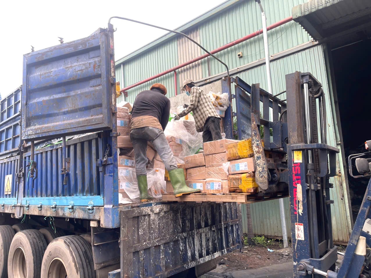 Hình ảnh hơn 30 tấn vú heo, dồi trường, gà ủ muối “bẩn” của một cơ sở kinh doanh- Ảnh 1.
