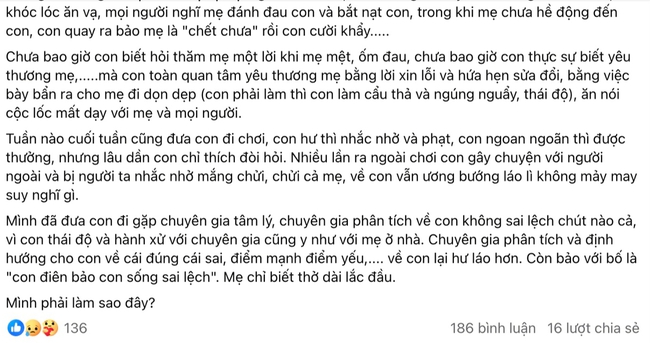 365 ngày bị con "tra tấn, hành hạ", bà mẹ ở TP.HCM cầu cứu: Có ai biết trường giáo dưỡng nào không? Mình bất lực rồi- Ảnh 1.