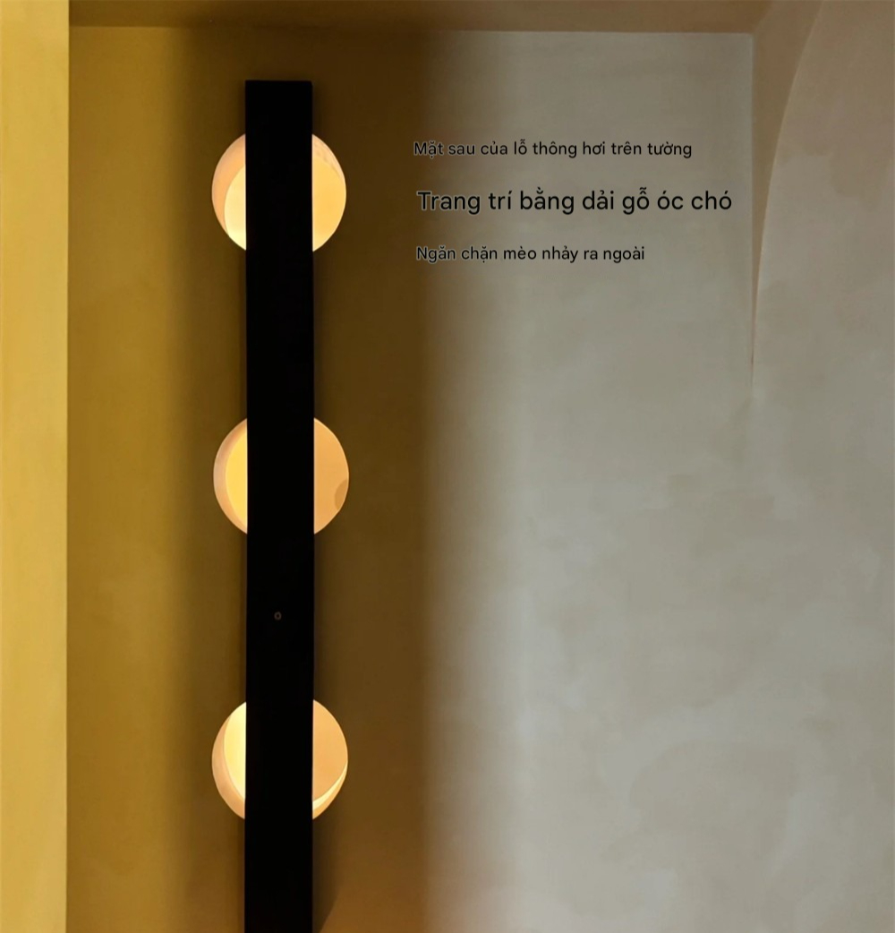 Yêu mèo không lối thoát, cô gái dỡ luôn 1 căn phòng để xây villa sang chảnh cho 
