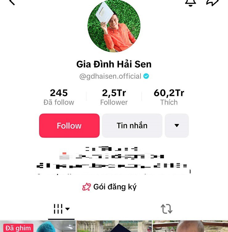 Chủ kênh TikTok "Gia đình Hải Sen" có hàng triệu người theo dõi bị bắt- Ảnh 1.