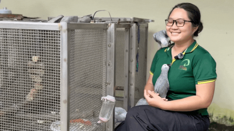 Thảo Cầm Viên công bố chương trình mới, nhưng dân mạng chỉ chú ý tới sự khác thường trong biểu cảm của nhân viên- Ảnh 5.