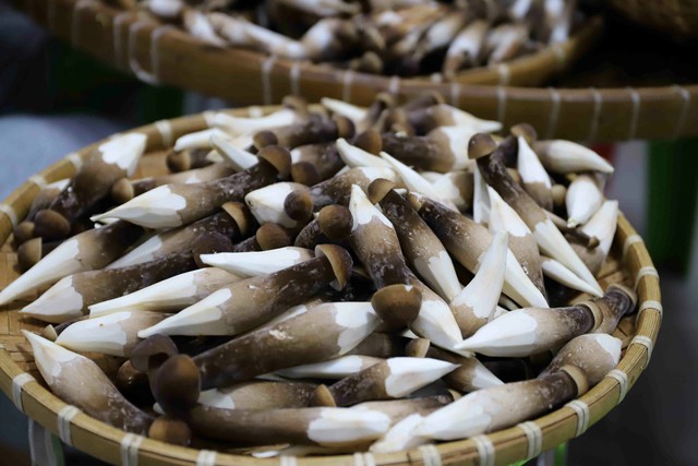 "Báu vật" mọc từ lòng đất: Từ đồ ăn dân dã thành đặc sản bạc triệu, thương lái săn đón ngay trong đêm- Ảnh 2.