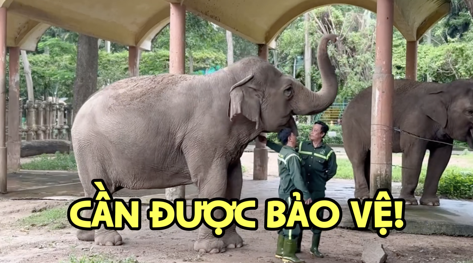 Thảo Cầm Viên công bố chương trình mới, nhưng dân mạng chỉ chú ý tới sự khác thường trong biểu cảm của nhân viên- Ảnh 4.
