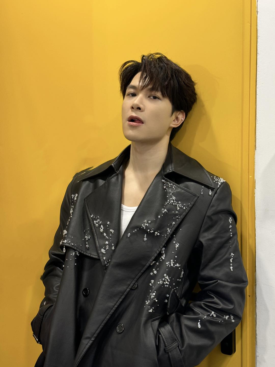 Lan Ngọc để lộ 1 Anh trai visual 