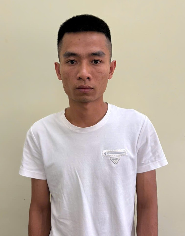 Khởi tố đối tượng gây tai nạn giao thông nghiêm trọng cho 2 vợ chồng- Ảnh 1.