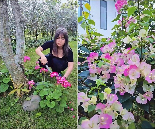 Biệt thự nghỉ dưỡng của nam diễn viên 