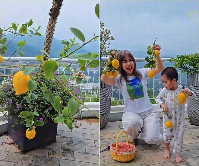 Biệt thự nghỉ dưỡng của nam diễn viên 