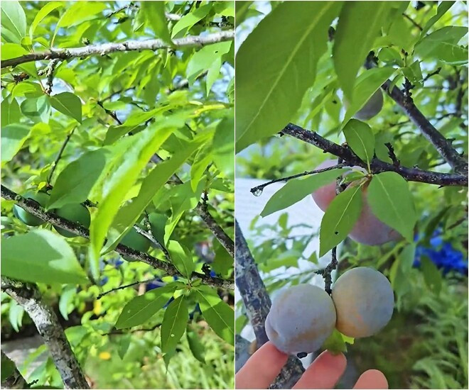 Biệt thự nghỉ dưỡng của nam diễn viên 