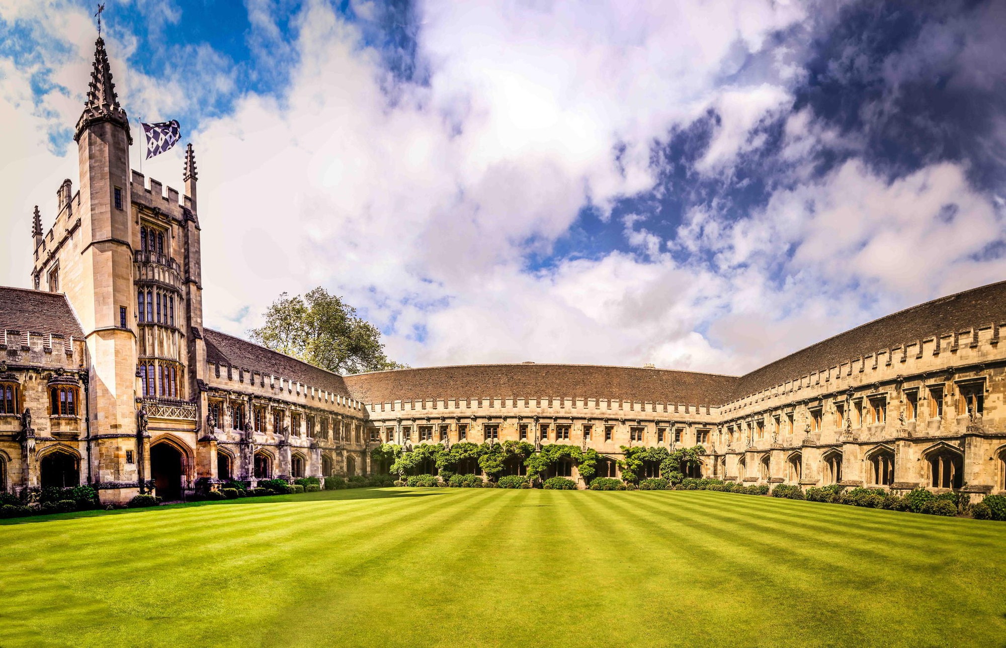 Nếu FTU là "Harvard Chùa Láng", NEU là "Stanford Phố Vọng", Bách khoa là MIT..., vậy trường nào sẽ là "Oxford Việt Nam"?- Ảnh 1.