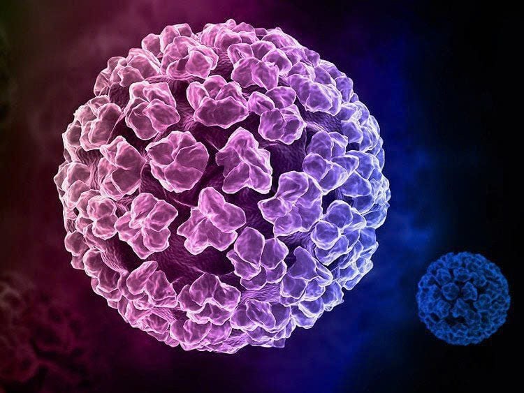 TP.HCM: Cô gái 25 tuổi cùng lúc nhiễm 21 chủng virus HPV, có 14 chủng thuộc nhóm nguy cơ gây ung thư cao- Ảnh 2.