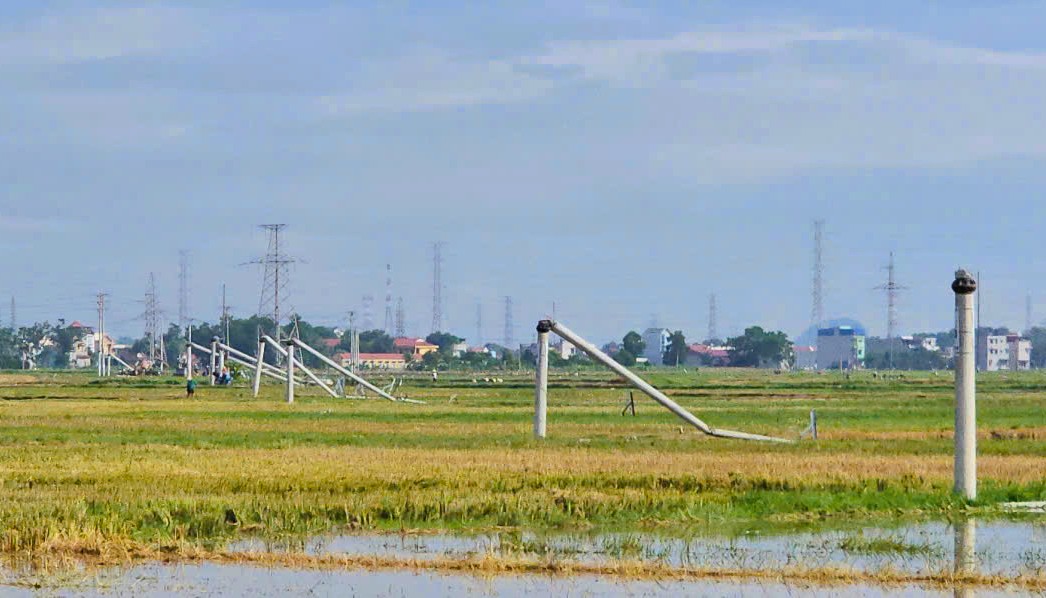 Cột điện đường dây 22 kV gãy đổ như "ngả rạ" sau mưa dông ở Thanh Hóa- Ảnh 3.