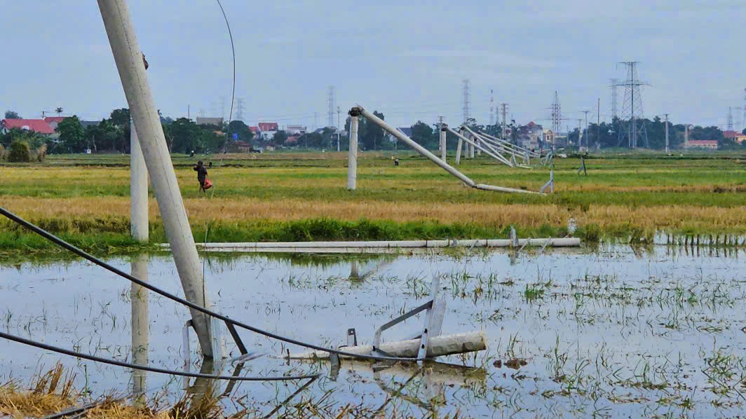 Cột điện đường dây 22 kV gãy đổ như "ngả rạ" sau mưa dông ở Thanh Hóa- Ảnh 1.