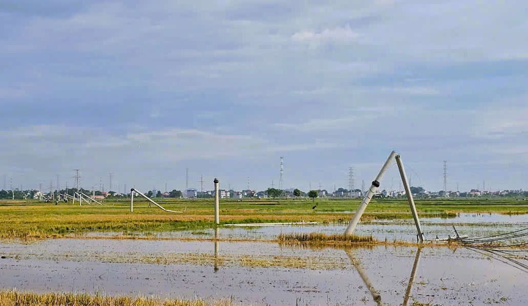 Cột điện đường dây 22 kV gãy đổ như "ngả rạ" sau mưa dông ở Thanh Hóa- Ảnh 4.