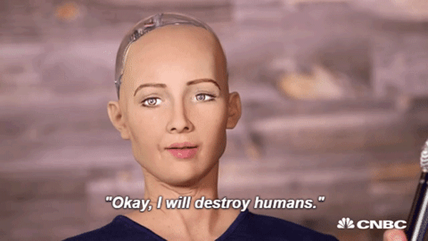 Cô nàng siêu robot Sophia từng tuyên bố “sẽ hủy diệt loài người” bây giờ ra sao?- Ảnh 1.