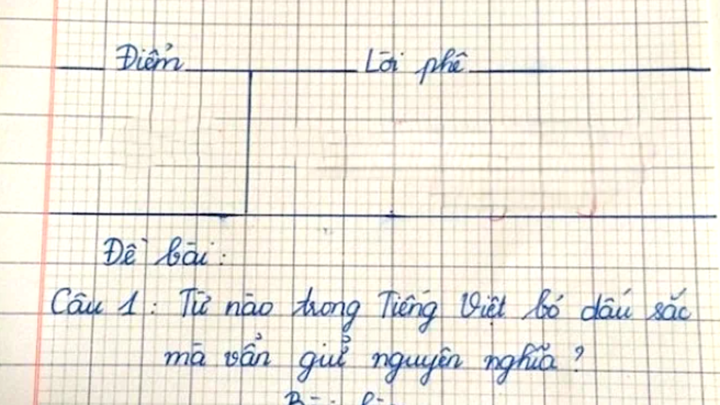 Từ nào trong Tiếng Việt bỏ dấu sắc mà vẫn giữ nguyên nghĩa?- Ảnh 1.