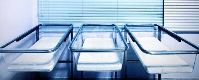 Chuyện gì sẽ xảy ra nếu loài người ngừng sinh con: Nhân loại có thể sống sót được bao lâu sau khi đứa trẻ cuối cùng chào đời?- Ảnh 5.