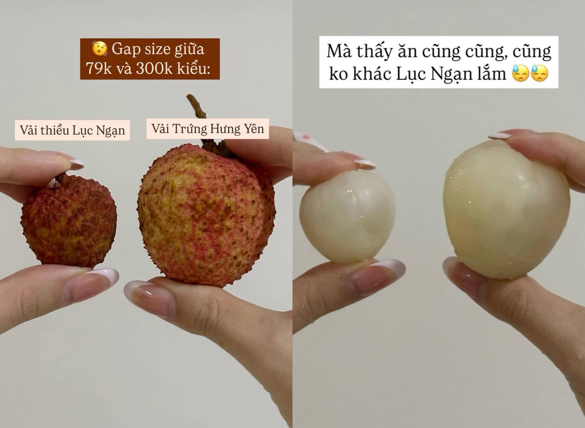 Mẹ Cua Cốm khen vải trứng Phù Cừ ngon nhất, người bán vải Thanh Hà: 