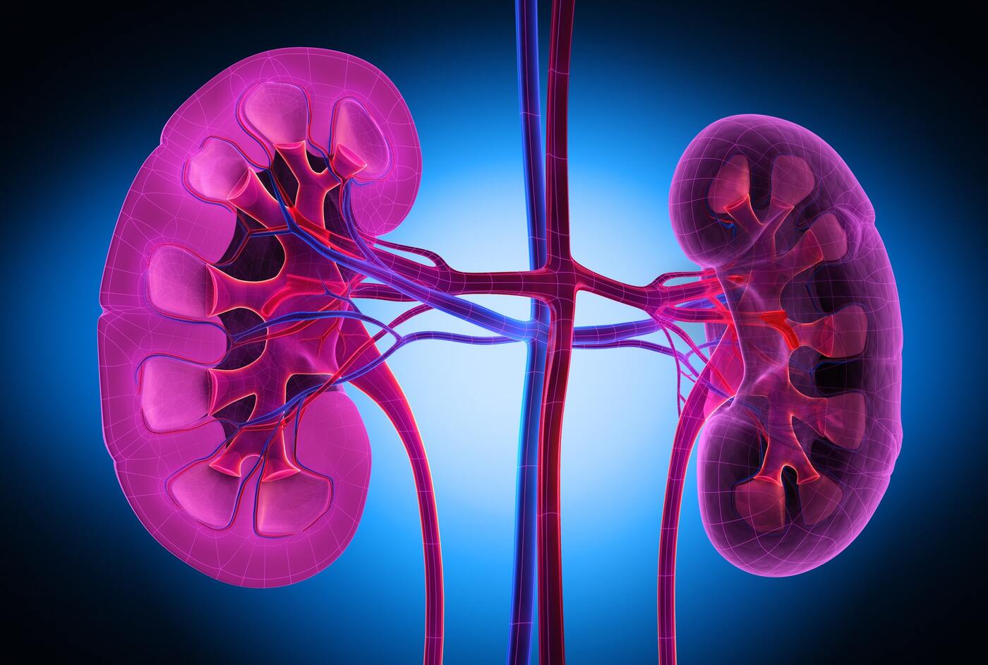 diabetic-kidney-disease-treatment-by-best-nephrologist-in-delhi-min-1-1750310564012-17503105642001275890817.jpg