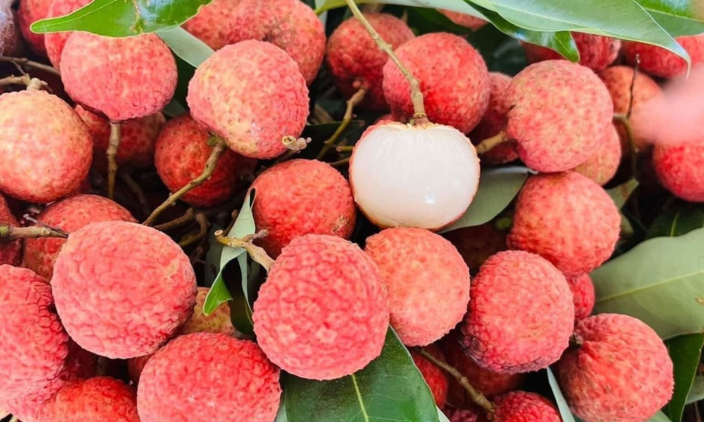 Vải thiều Việt Nam lên kệ siêu thị Đức- Ảnh 1.