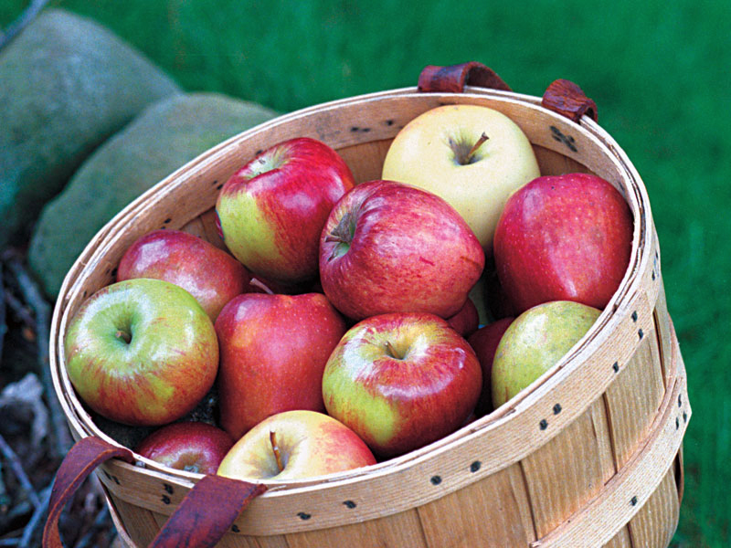 Bài toán "Khi nào 5 + 5 = 6?": Câu trả lời không hề khó nhưng nhiều học sinh giỏi vẫn bó tay- Ảnh 4.