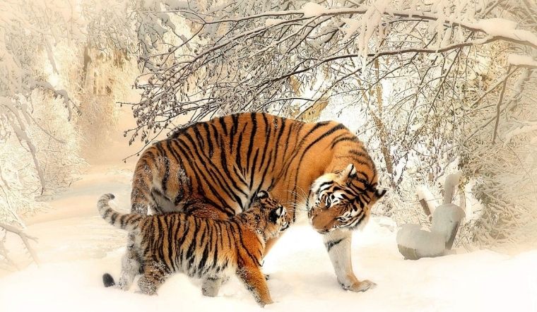 Từ đầu tháng 6 Âm lịch, 4 con giáp này “đạp trúng hố vàng”, vận đỏ như son, ngập tràn may mắn- Ảnh 1.
