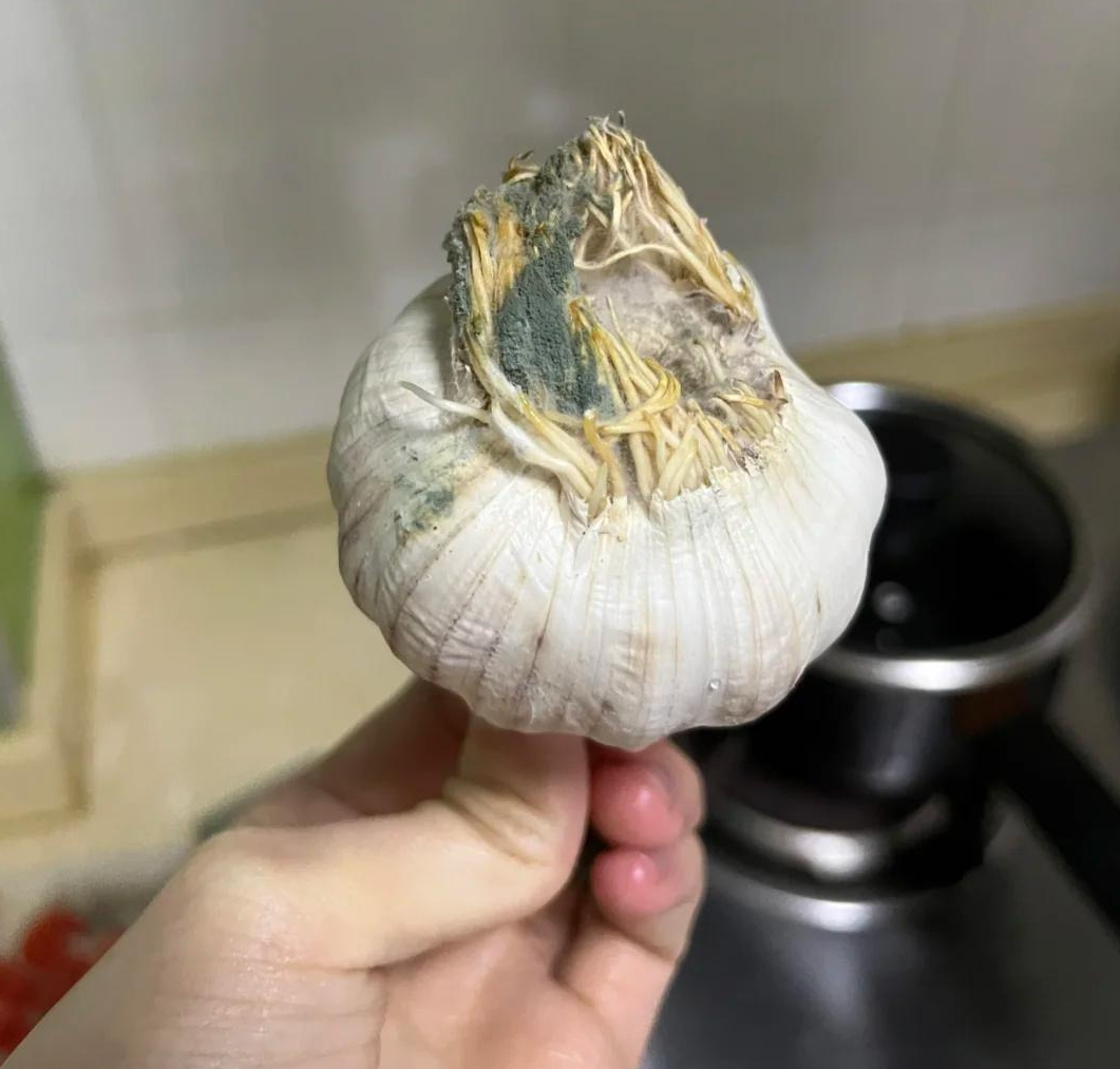 6 thực phẩm KHÔNG NÊN bảo quản trong tủ lạnh: Cái số 4 là sai lầm kinh điển!- Ảnh 7.