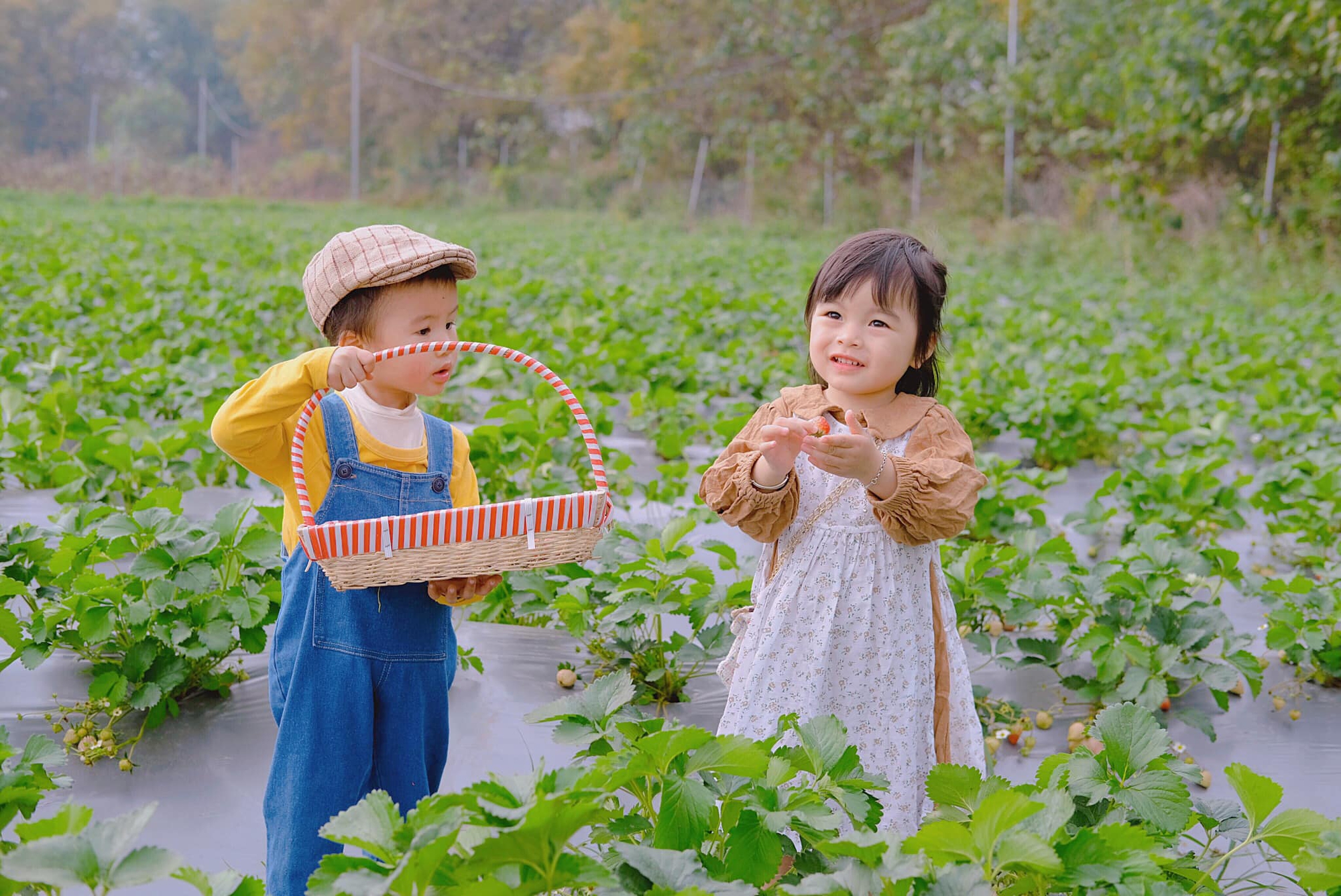 Bảng chi tiêu của mẹ 2 con "sơ sơ" đã lên đến 40 triệu/tháng nhưng không thể nào cắt giảm nổi- Ảnh 3.