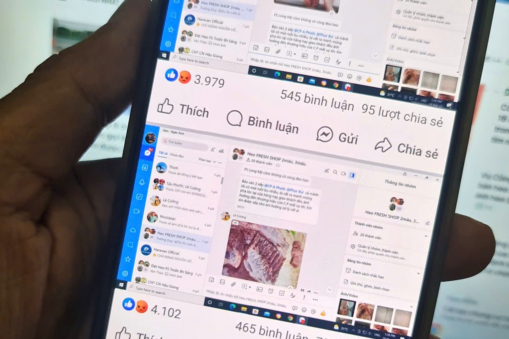 Người từng quản lý chi nhánh C.P. ở Hậu Giang nói gì về phản ánh bán heo bệnh: Không nhớ rõ vì quá lâu?- Ảnh 2.