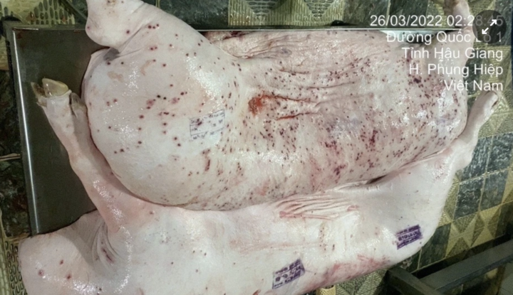 Đoàn kiểm tra mời chủ các cửa hàng Fresh Shop - Công ty C.P ở Sóc Trăng làm việc- Ảnh 1.