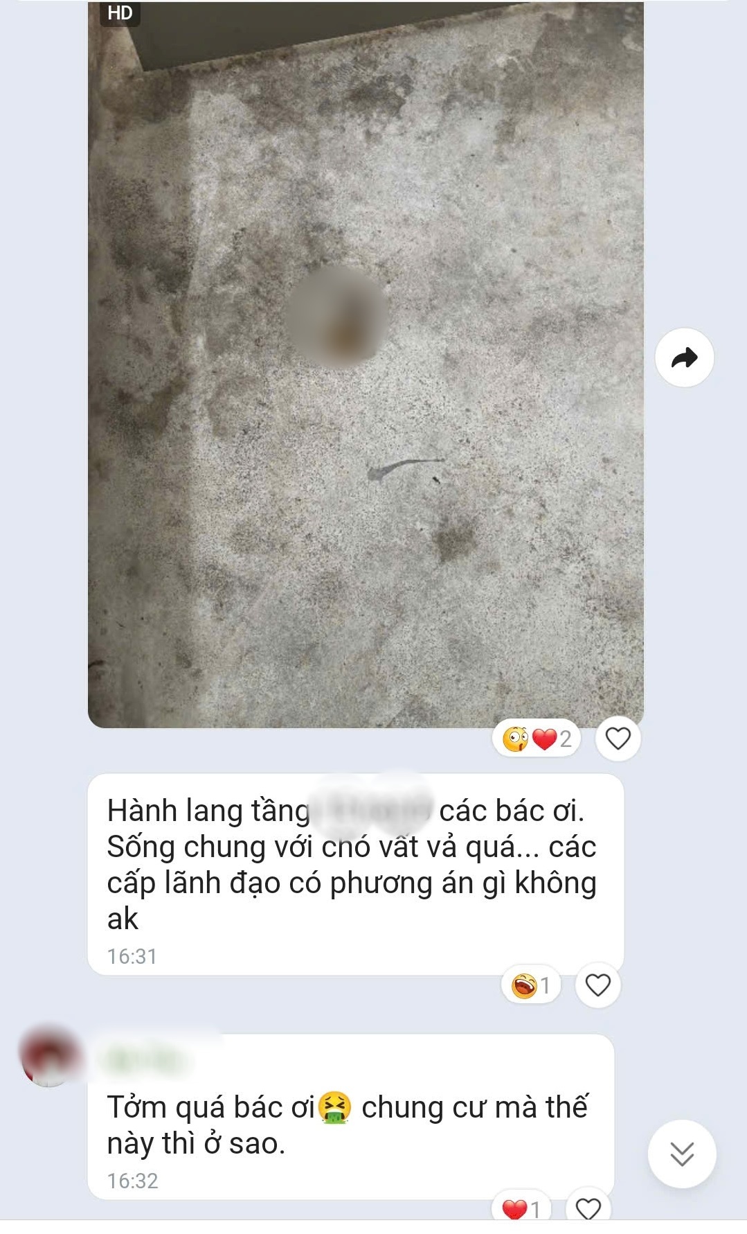 Khốn khổ vì hàng xóm yêu thú cưng 