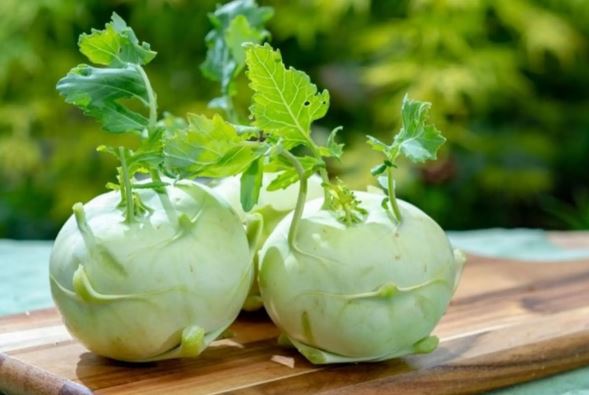 4 loại rau mùa hè dễ "ngậm" hóa chất nhất chợ, nhất là cái số 1- Ảnh 3.