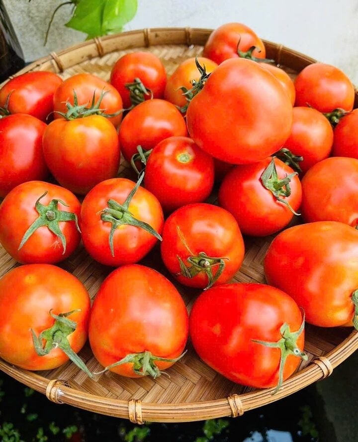 Chuyên gia kể tên những loại rau mùa hè dễ 'ngậm' hóa chất nhất- Ảnh 1.
